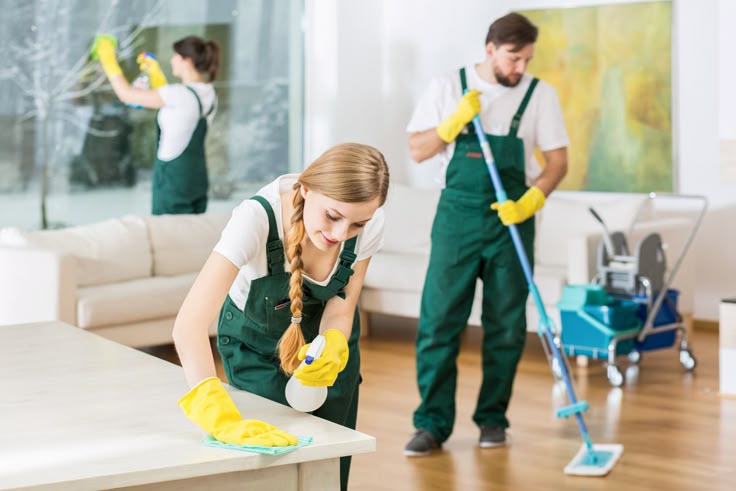 Saraswati Cleaning Solution